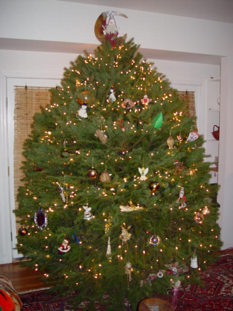 christmastree.jpg