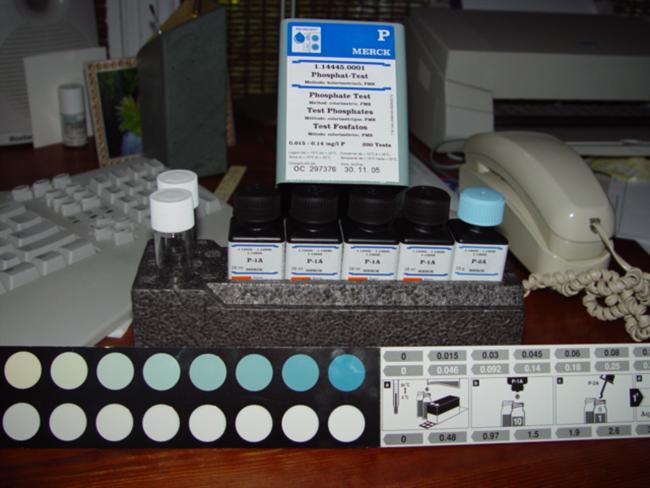 merck1.jpg