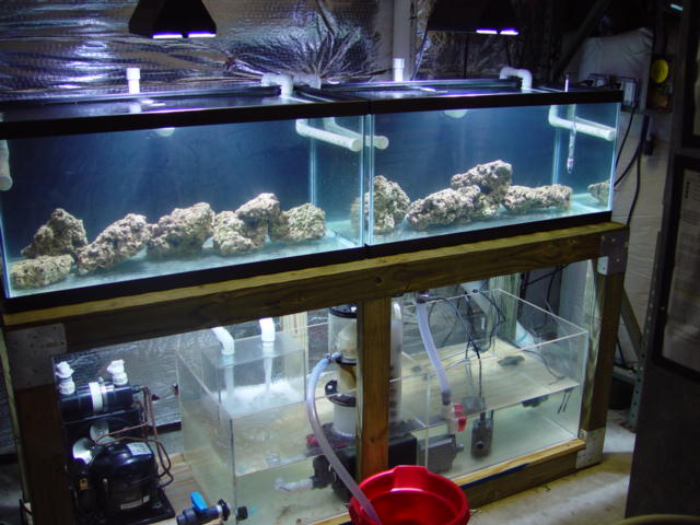 twinsetup2.jpg